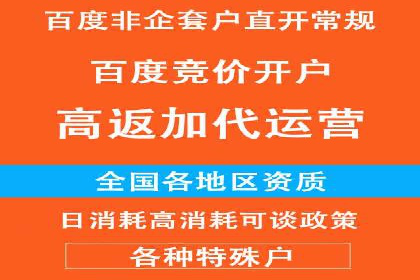 推广竞价策略解析：成功案例分享